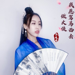 我愿驾马西去做大侠