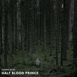 Half Blood Prince (Explicit)