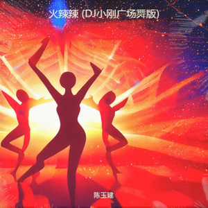 火辣辣 (DJ小刚广场舞版)封面