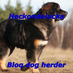 Bloq dog herder (Explicit)