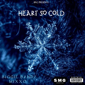 Heart So Cold (feat. Mixxo) [Explicit]