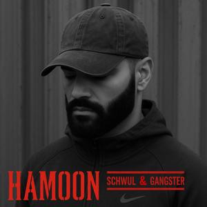 Schwul & Gangster (Explicit)