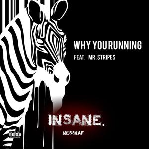 Why You Running (feat. Mr. Stripes) (Explicit)