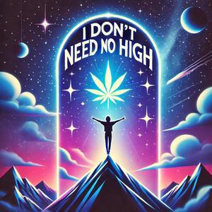 I Don't Need No High (Explicit)