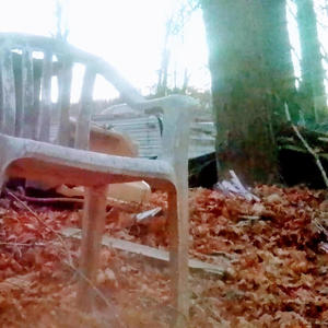 We putting on (feat. Chandler Oliver) (Explicit)