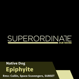 Epiphyite (Cullin's Moody Mix)