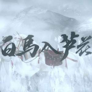 白马入芦花封面