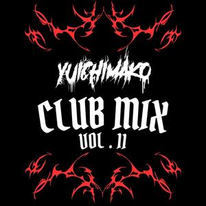 Club Mix, Vol. 11