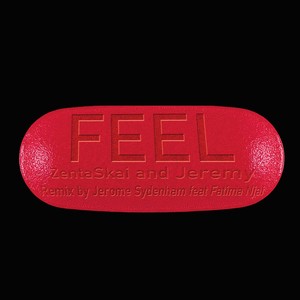 Feel (Jerome Sydenham feat Fatima Njai Dubstrumental Remix)