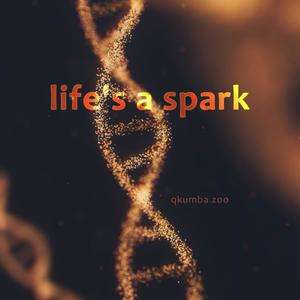 Life's a Spark