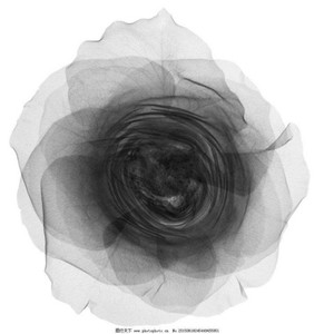 I Want It That Way Remix (Free beat)