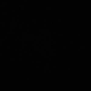 Came From Da Trenchez (Explicit)