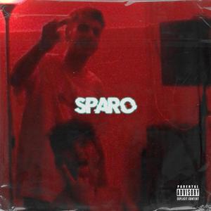 Sparo (feat. BadLarry & ozzisdyin) (Explicit)
