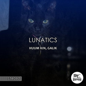 Lunatics (Original Mix)