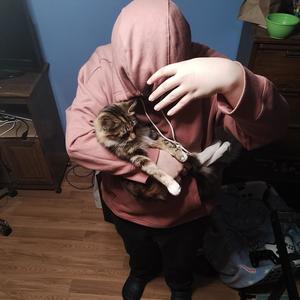 5GEE (Freestyle) (Explicit)