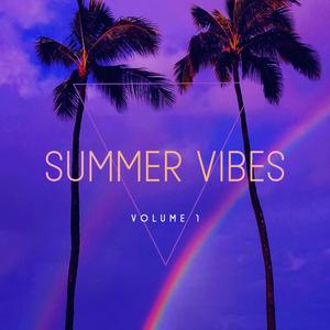 SUMMER VIBES VOLUME ONE (Explicit)