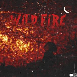 Wild Fire (Explicit)