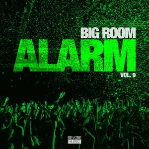 Big Room Alarm, Vol. 9