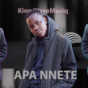 Apa Nnete