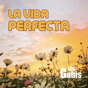 La Vida Perfecta