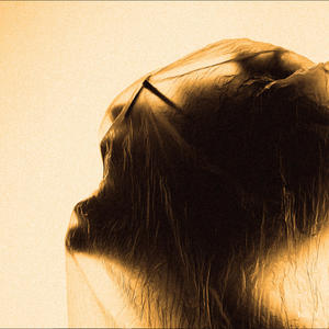 The Shade Beneath (Explicit)