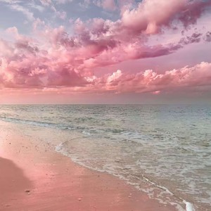 斑马 斑马 (DJ旋律版)