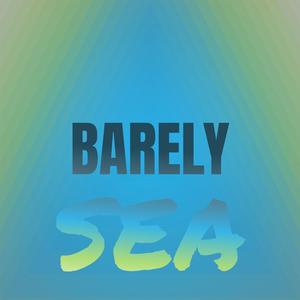 Barely Sea