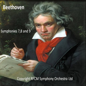 Symphony No. 9 in D Minor, Op. 12 : II. Scherzo molto vivace