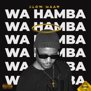 Awa Fasa (Bacardi) (feat. Seven Step & Lebo Musiq)