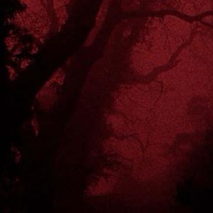 the pulse of us (Explicit)