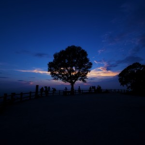 勇敢的人，勇敢的心 (Demo)