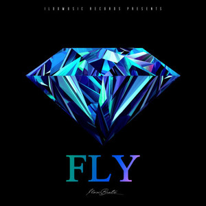 FLY (Explicit)