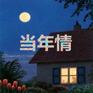 当年情 (怀旧经典版)