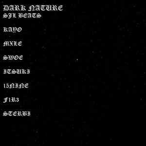 DARK NATURE(feat. Kayo, MXLE, swoe, ITSUKI, 15Nine, F1R3 & STERBI) (Explicit)