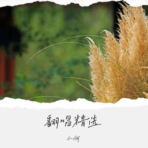 得到你的人却得不到你的心