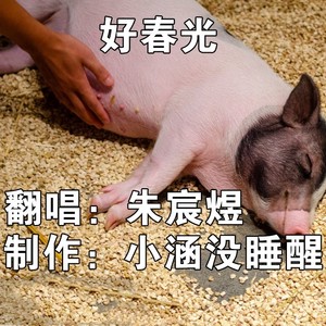朱宸煜 - 好春光