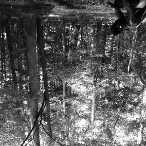 rainy thoughts. (feat. momo ward) (Explicit)