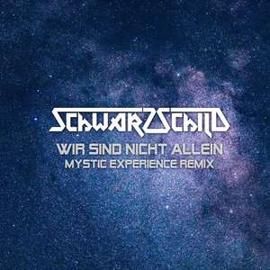 Wir sind nicht allein (Mystic Experience Remix)