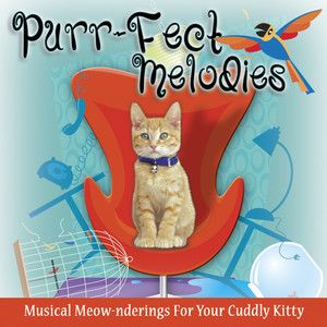 Purr-Fect Melodies