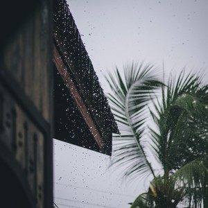 Rains