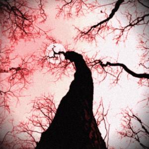 Where Tf Did I Go Wrong (Explicit)