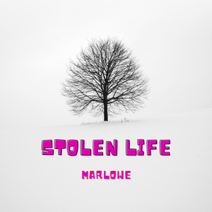 Stolen Life