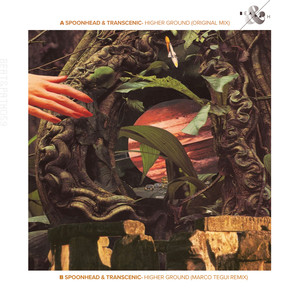 Higher Ground (Marco Tegui Remix)