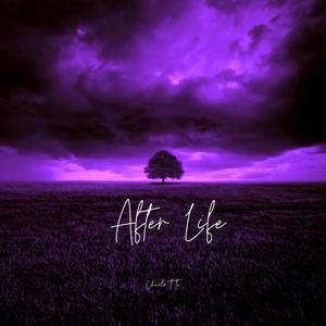 After Life(feat. Soil & Yasin)