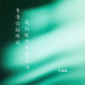 看清你的时候我的眼睛也会流泪