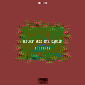 Never See Me Again