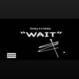 Wait (Explicit)