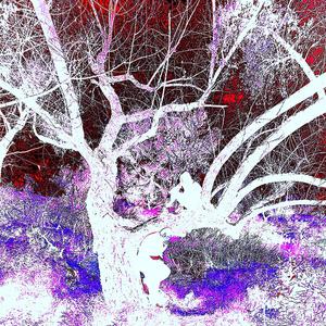 FALL AWAY (feat. TSHREDS) (Explicit)