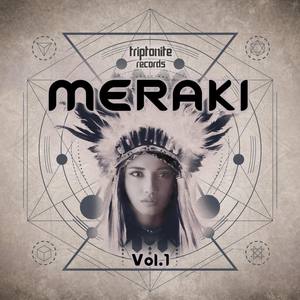 Meraki, Vol. 1