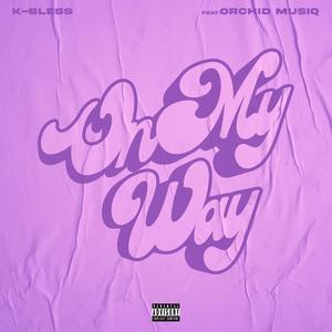 On My Way (feat. Orchid MusiQ) (Remix|Explicit)
